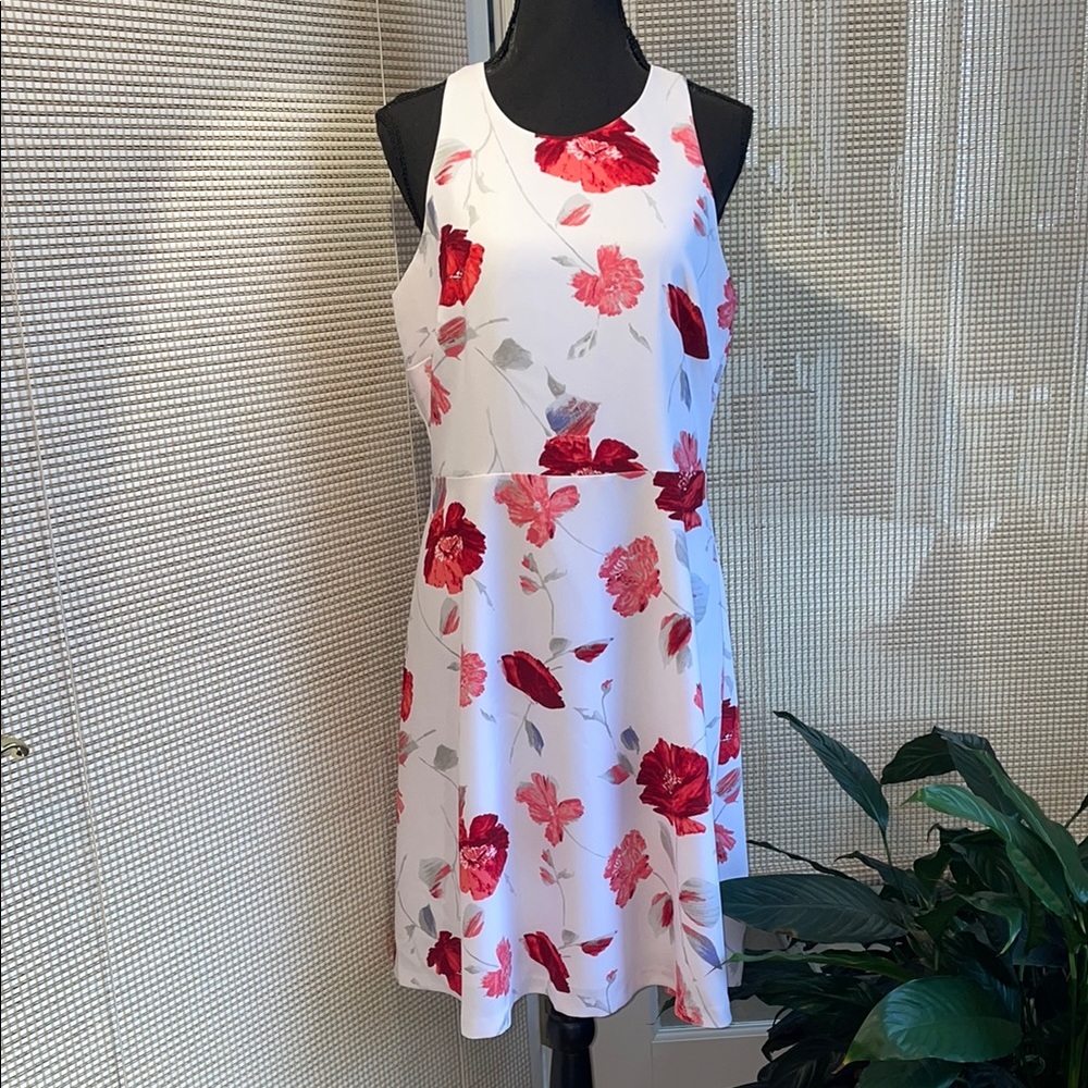 Banana Republic White and Red Mini Dress